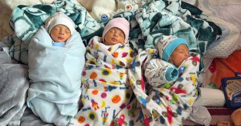 Instagram.com/mahmudhams